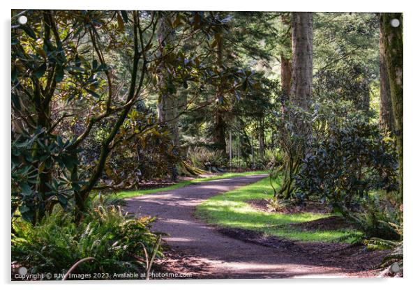 benmore botanical gardens Acrylic by RJW Images