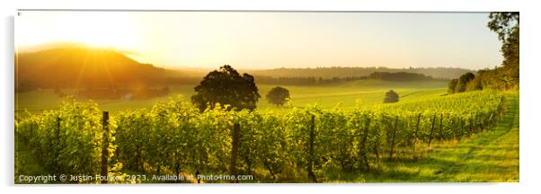 Panoramic sunrise over Denbies Vineyard, Surrey Acrylic by Justin Foulkes