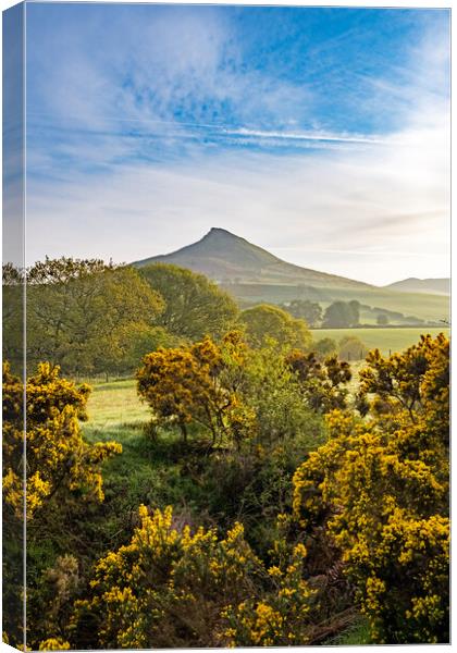 Roseberry Topping: Picturesque Hilltop Adventure. Canvas Print by Steve Smith