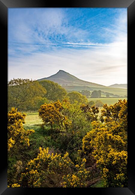 Roseberry Topping: Picturesque Hilltop Adventure. Framed Print by Steve Smith