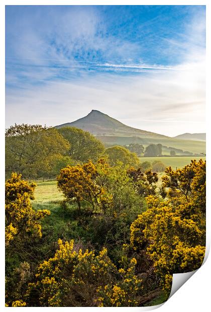 Roseberry Topping: Picturesque Hilltop Adventure. Print by Steve Smith