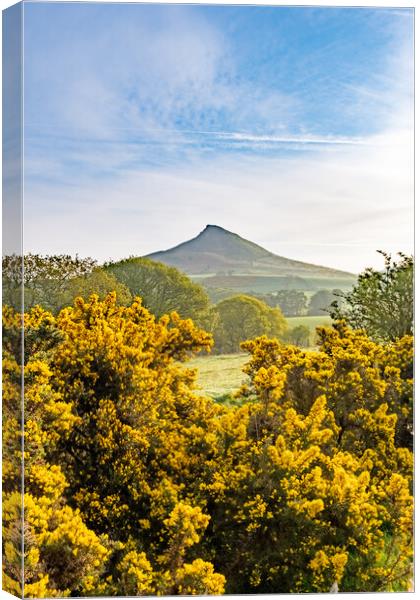 Roseberry Topping: Picturesque Hilltop Adventure. Canvas Print by Steve Smith