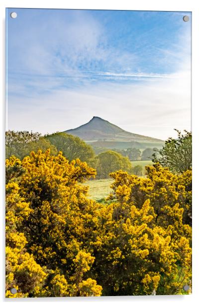 Roseberry Topping: Picturesque Hilltop Adventure. Acrylic by Steve Smith