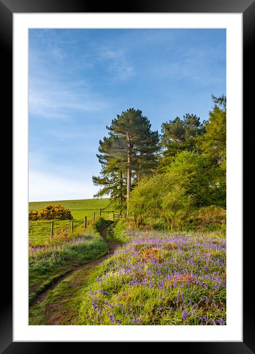 Enchanting Newton Woods near Roseberry Topping Framed Mounted Print by Steve Smith
