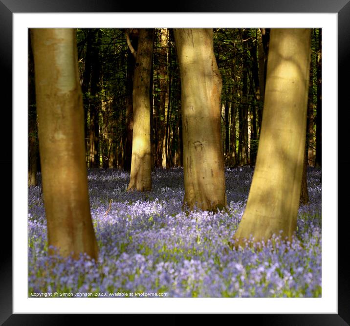 Sunlit Bluebell Woods  Framed Mounted Print by Simon Johnson