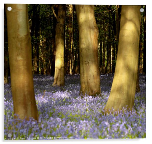 Sunlit Bluebell Woods  Acrylic by Simon Johnson