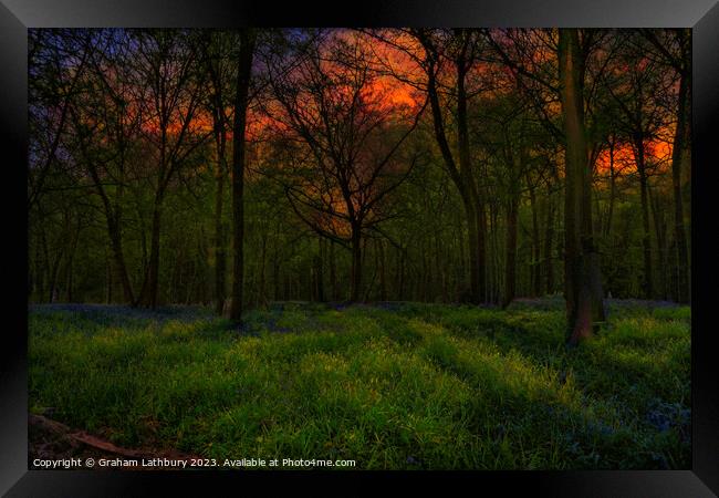 Bluebell Sunrise Framed Print by Graham Lathbury