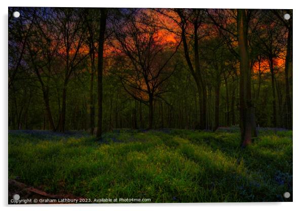 Bluebell Sunrise Acrylic by Graham Lathbury