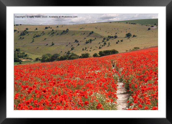 South Downs with Poppies Framed Mounted Print by Sally Wallis