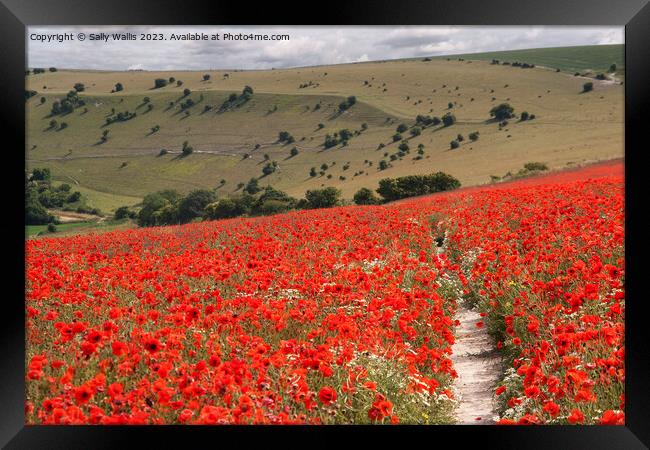 South Downs with Poppies Framed Print by Sally Wallis