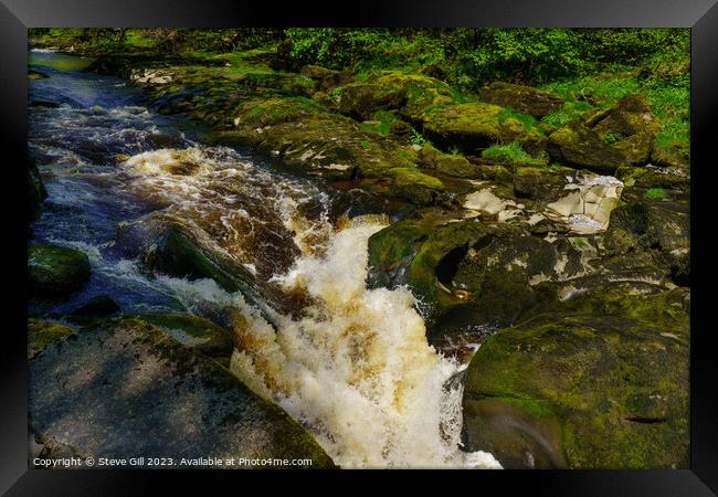 The Circular Walk from Bolton Abbey Passes the Narrow, Fast-flowing Strid, Surrounded by Large Mossy Rocks. Framed Print by Steve Gill