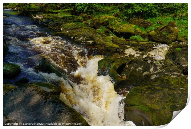The Circular Walk from Bolton Abbey Passes the Narrow, Fast-flowing Strid, Surrounded by Large Mossy Rocks. Print by Steve Gill