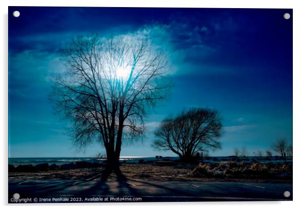 Enchanting Moonlight Acrylic by Irene Penhale