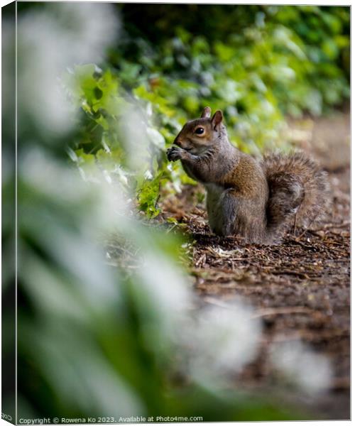 Majestic Squirrel in a Verdant Forest Canvas Print by Rowena Ko