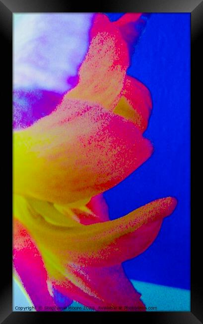 Abstract 630 Framed Print by Stephanie Moore