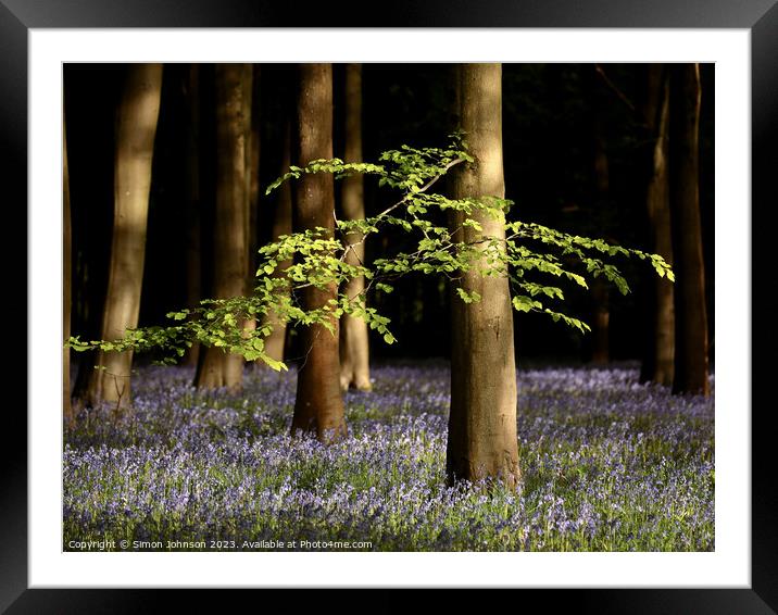 A close up of a tree Framed Mounted Print by Simon Johnson