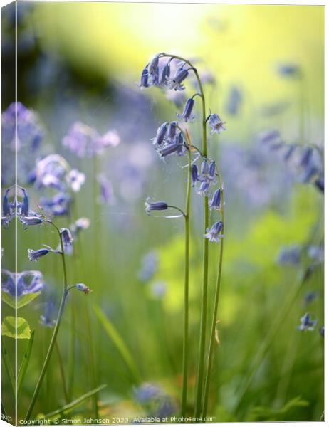 Bluebell close up Canvas Print by Simon Johnson