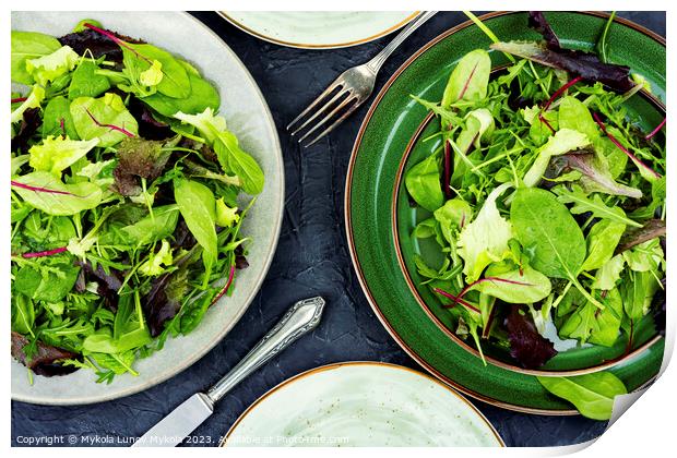 Greens raw salad, healthy eating. Print by Mykola Lunov Mykola