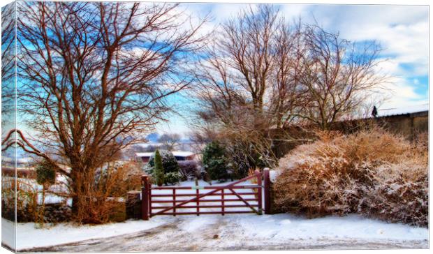 Five Barred  Gate Canvas Print by Irene Burdell