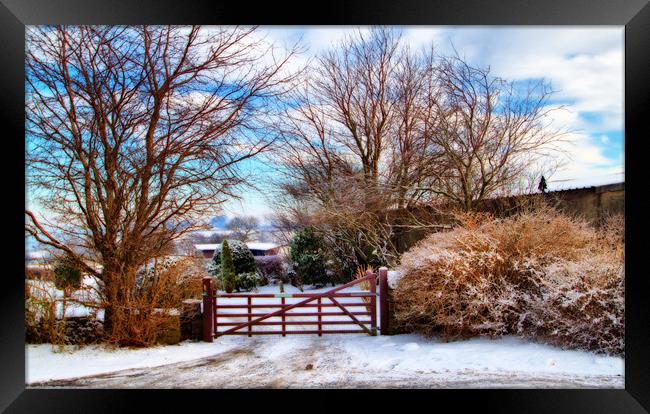 Five Barred  Gate Framed Print by Irene Burdell