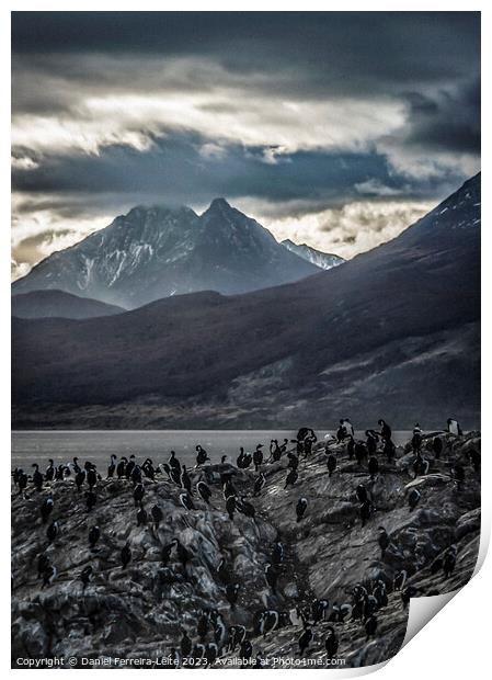 Nature's Symphony: A Portrait of Ushuaia's Wild Beauty  Print by Daniel Ferreira-Leite