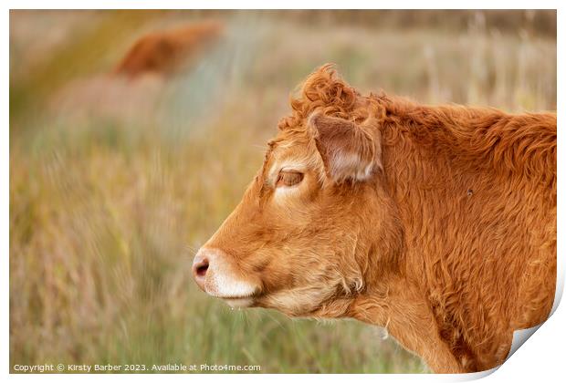 A brown cow standing on top of a grass covered field Print by Kirsty Barber