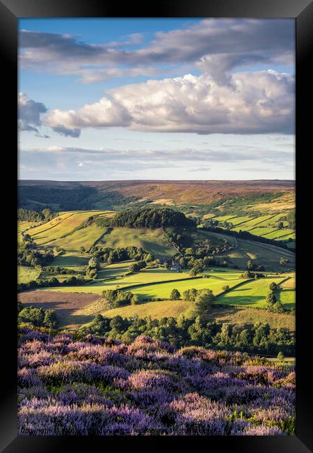 Evening Light On Rosedale Framed Print by Richard Burdon