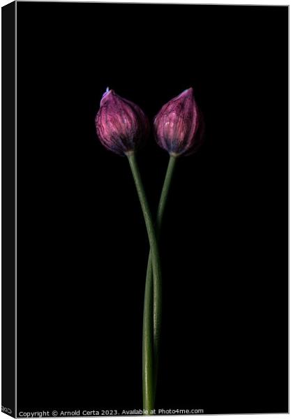 Chives Canvas Print by Arnold Certa