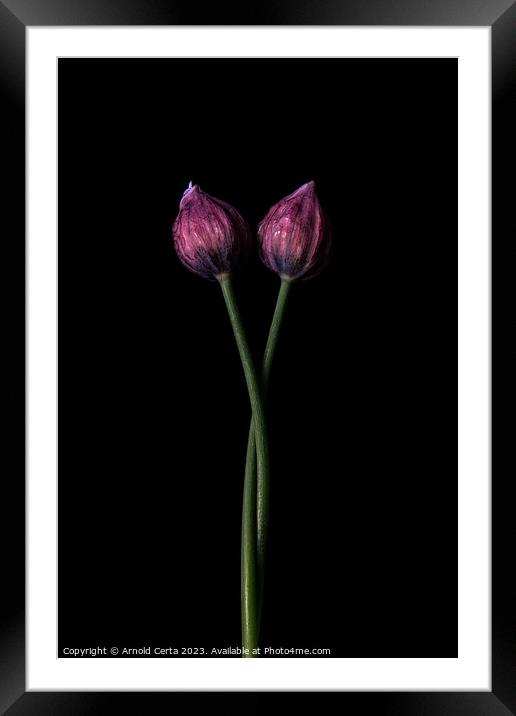 Chives Framed Mounted Print by Arnold Certa