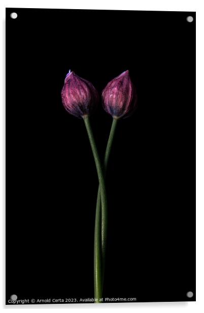 Chives Acrylic by Arnold Certa