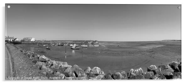 Minehead Harbour Somerset Panorama    Acrylic by David Pyatt