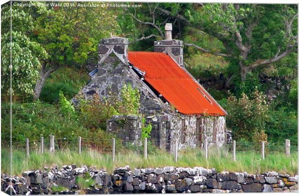 Neglected Old Croft Canvas Print by Liz Ward