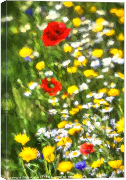 Summer Flora Renoir Style Canvas Print by David Pyatt
