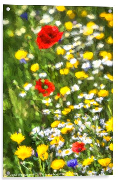 Summer Flora Renoir Style Acrylic by David Pyatt