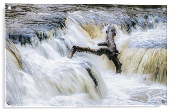 Afon Pyrddin Acrylic by Edward Kilmartin
