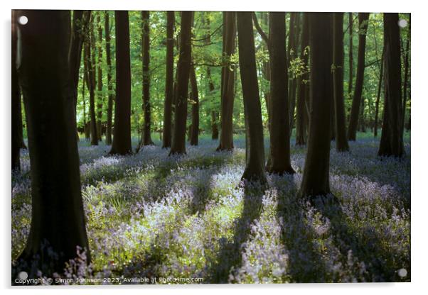  bluebell  wood Acrylic by Simon Johnson