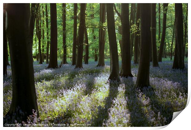  bluebell  wood Print by Simon Johnson