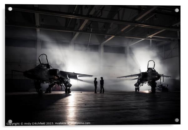 Jaguars in the Hanger Acrylic by Andy Critchfield