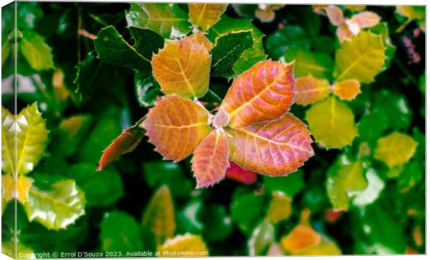 Vibrant Leaves Lush Foliage Canvas Print by Errol D'Souza