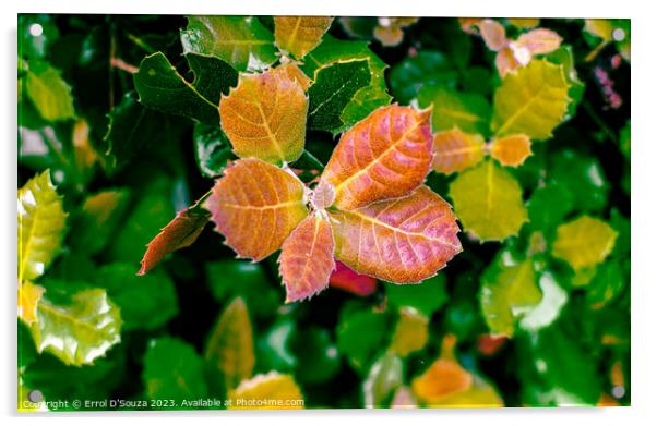 Vibrant Leaves Lush Foliage Acrylic by Errol D'Souza