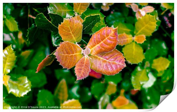 Vibrant Leaves Lush Foliage Print by Errol D'Souza