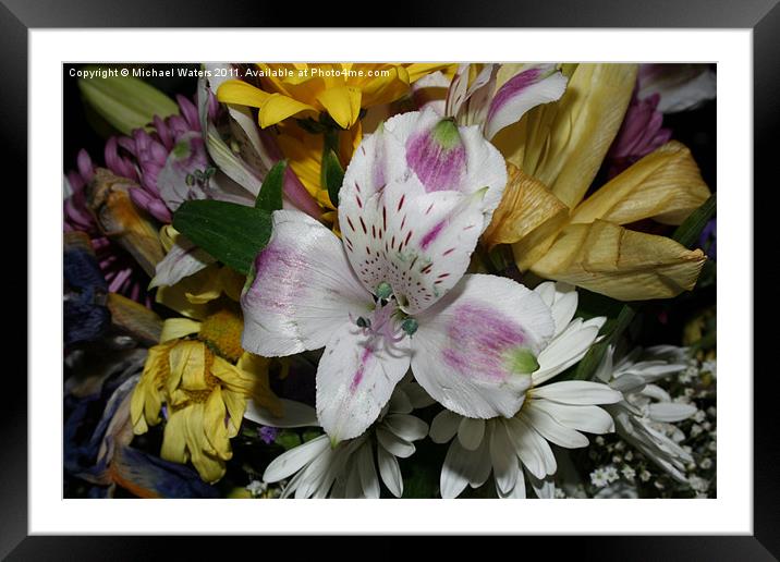 Bouquet of Flowers Framed Mounted Print by Michael Waters Photography