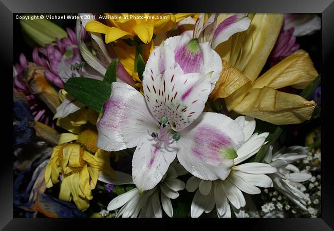 Bouquet of Flowers Framed Print by Michael Waters Photography