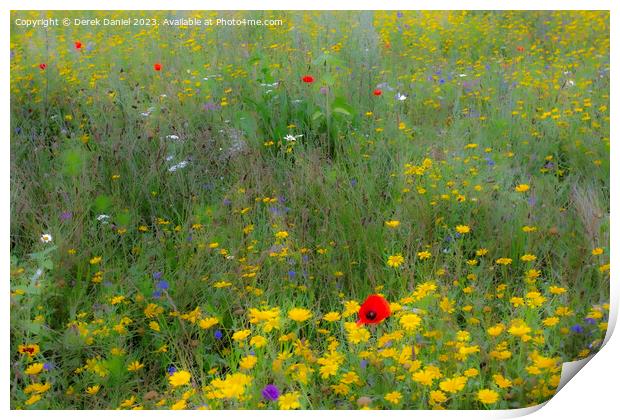 Dreamy Meadow Flowers Print by Derek Daniel