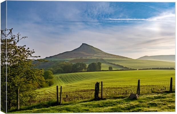 Roseberry Topping: Iconic Views Await Canvas Print by Steve Smith