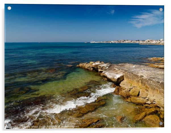 Cascais Bay 5 Acrylic by Dudley Wood