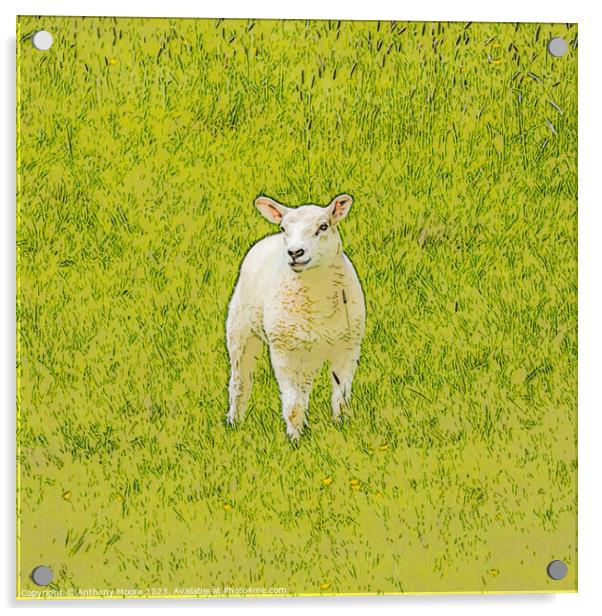 The Lamb. Acrylic by Anthony Moore