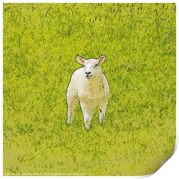 The Lamb. Print by Anthony Moore