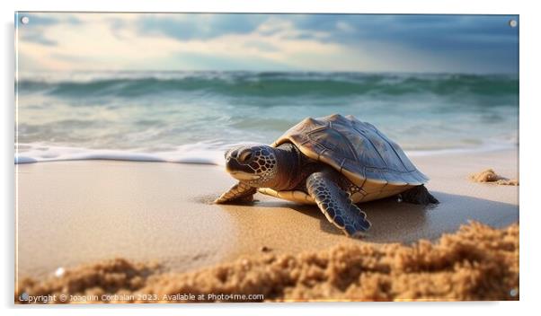 a tiny baby turtle embarks on its wobbly seaside odyssey. Ai gen Acrylic by Joaquin Corbalan