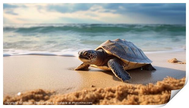 a tiny baby turtle embarks on its wobbly seaside odyssey. Ai gen Print by Joaquin Corbalan